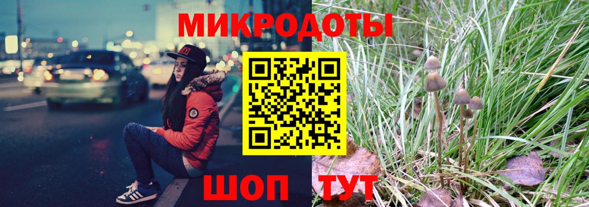 Галлюциногенные грибы мухоморы  Вход с VPN  Нерюнгри 