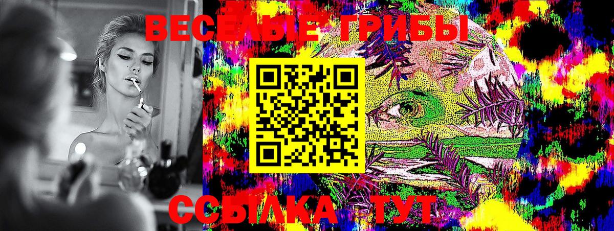 Галлюциногенные грибы ЛСД Нерюнгри